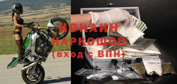 прущая мука Корсаков