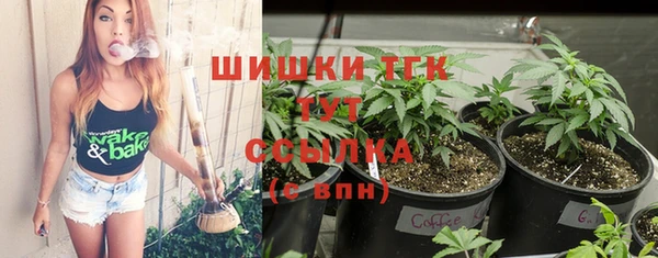 прущая мука Корсаков