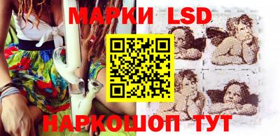 мдпв Камышлов