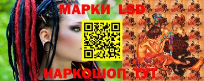 мдпв Камышлов
