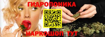 apvp Канаш