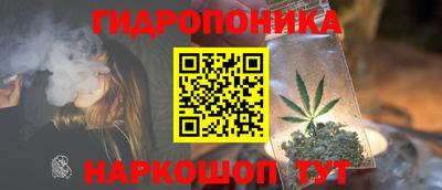 мдпв Камышлов