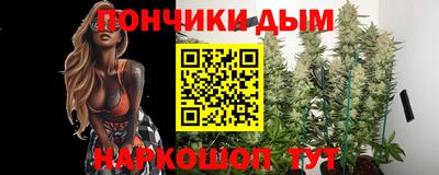 apvp Канаш