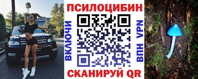 Псилоцибиновые грибы Psilocybe  Майский 
