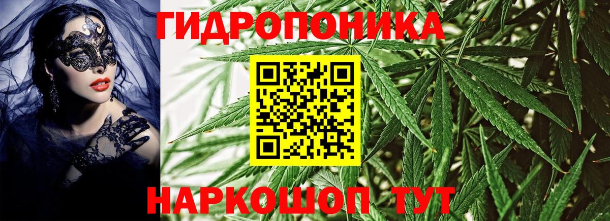 Майский  Конопля планчик  Шишки марихуана марихуана  Вход с VPN 